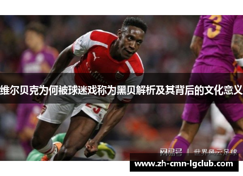维尔贝克为何被球迷戏称为黑贝解析及其背后的文化意义 维尔贝克为何被球迷戏称为黑贝解析及其背后的文化意义