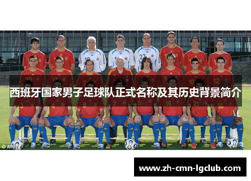 西班牙国家男子足球队正式名称及其历史背景简介