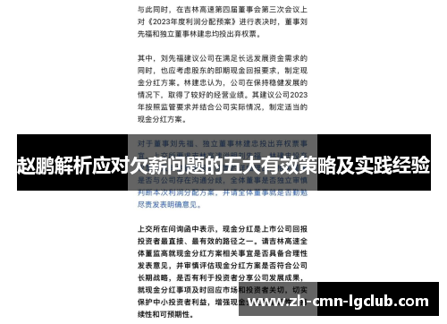 赵鹏解析应对欠薪问题的五大有效策略及实践经验