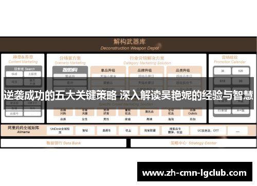 逆袭成功的五大关键策略 深入解读吴艳妮的经验与智慧