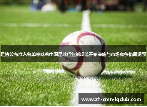 足协公布准入名单意味着中国足球行业新规范开始实施与市场竞争格局调整