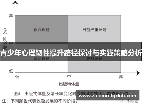 青少年心理韧性提升路径探讨与实践策略分析 青少年心理韧性提升路径探讨与实践策略分析