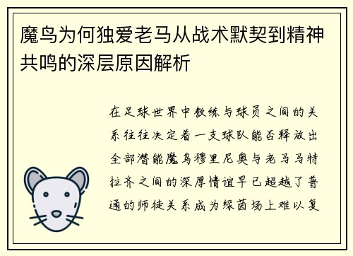 魔鸟为何独爱老马从战术默契到精神共鸣的深层原因解析